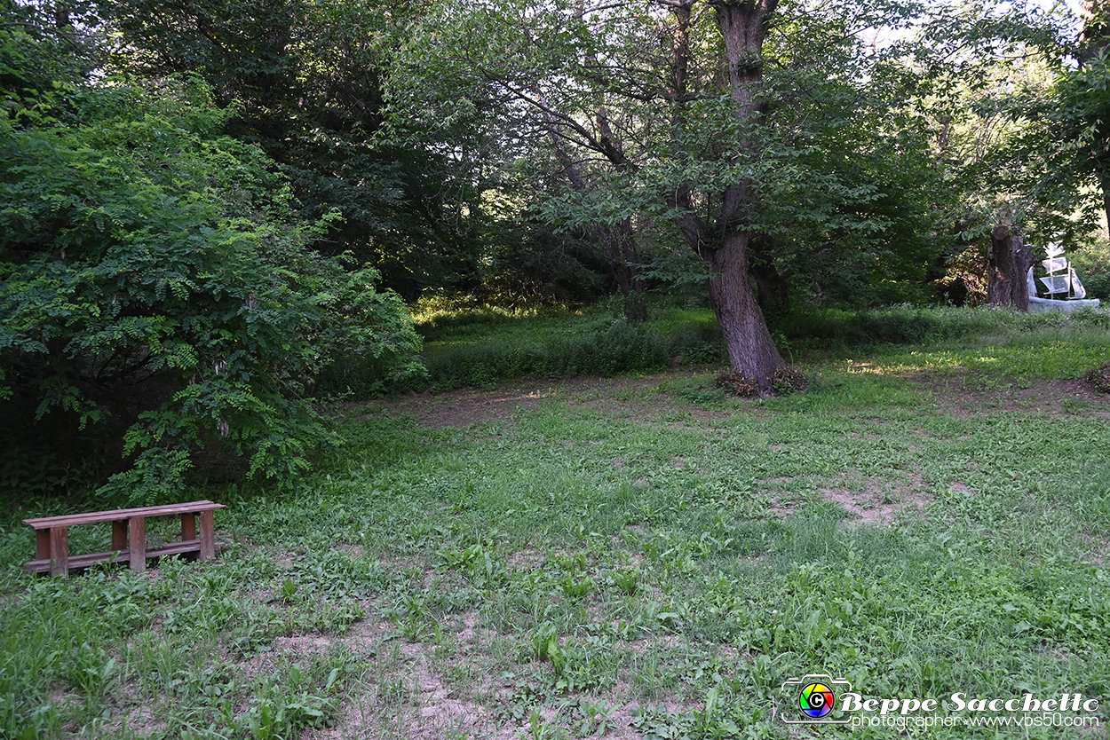 VBS_4868 - Il bosco fatato - Montaldo Roero.jpg